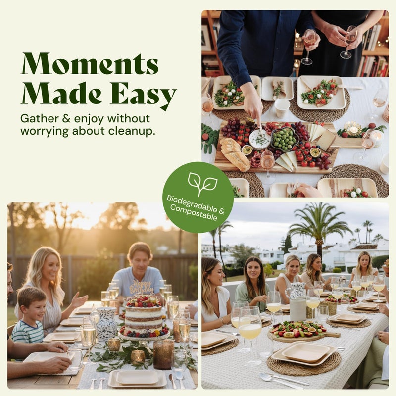 Chic Leaf أطباق شياك من أوراق النخيل القابلة للتحلل - 6" مربع، عبوة من 50 - أدوات مائدة قابلة للتخلص منها لطعام عيد الميلاد، أطباق مقبلات من الخيزران الريفي - لوحات تشاركوتيري وأدوات خدمة قابلة للتحلل - Image 5